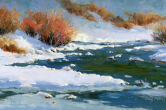 Cecy_Turner-Winter-Willows-in-Moraine-Park-Oil-Acrylic