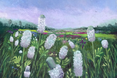 Donna_Chambers_Field-of-White-Clover_Pastel-Graphics