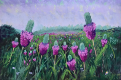 Donna_Chambers_Pink-Prairie-Clover_Pastel-Graphics